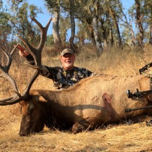 achery bull hunt pic