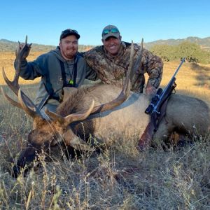 john newell six pt elk2 aug9
