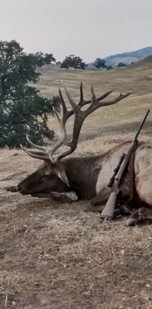 mark ogden elk aug22