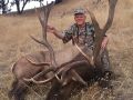 trophy bull elk