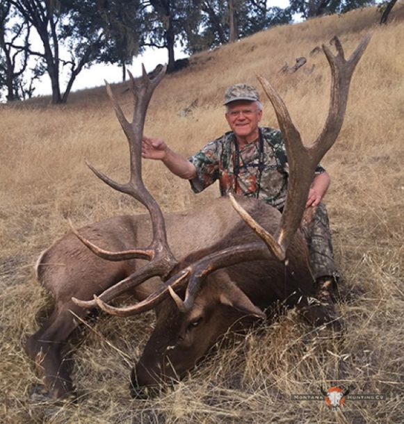 trophy bull elk