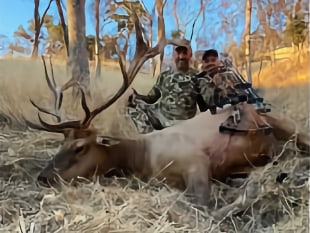 9c-TIm_Vance_David_Elk_2019.jpg