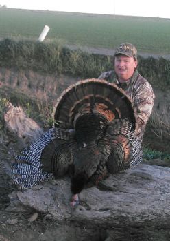 Andy's turkey