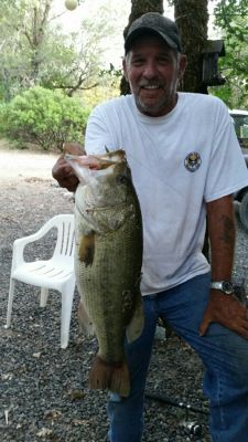 tom lewis bass