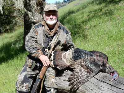 bill turkey