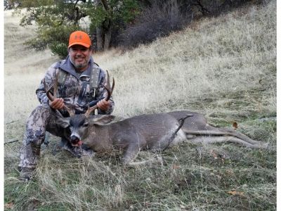 Golden Ram last Weekend