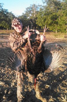 mark taylor spring turkey